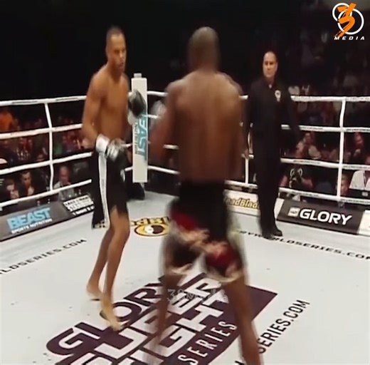 Top Savage knockouts and Funny Moments In MMA & Boxing History 🥊💥😮 | SFB