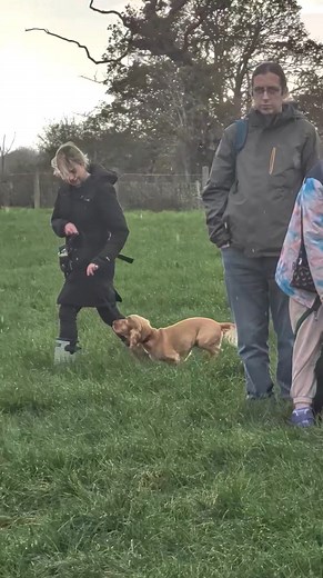  Adult Dog Class!  We had an action-packed session on Sunday with...