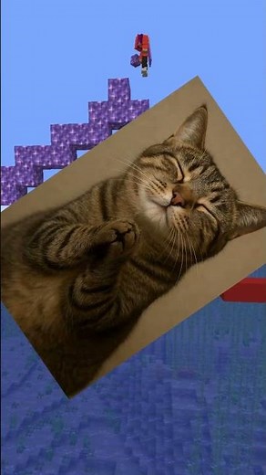 Wbiliśmy 10k❤️🥳🎉