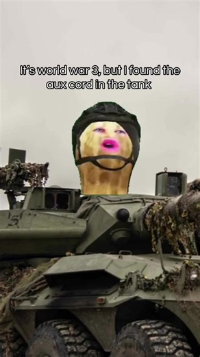 #meme #funnymemes #aux #burntpeanut #ww3 | peanut