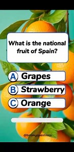 89K views · 2.1K reactions | "Can You Guess It Right? | Fun Quiz Challenge!"QuizTime #FunFacts #ChallengeYourself | Brainy Questions | Facebook