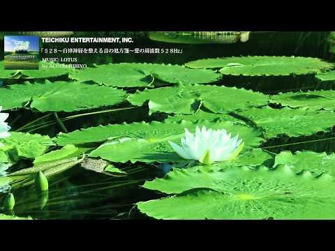 ACOON HIBINO / LOTUS 「自律神経を整える音の処方箋～愛の周波数528Hz～」より