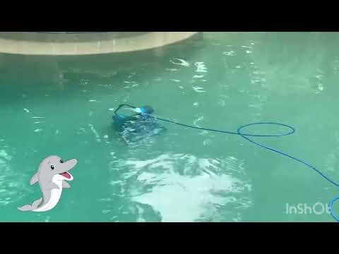 Dolphin Premier Robotic Pool Cleaner with Multimedia for In ground Swimming Pools up to 50ft Review