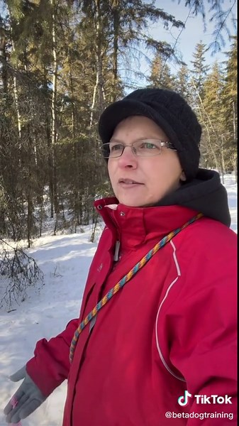 When should you expect to be done training your dog? #dogtraining #dogtrainer #dogtrainingtricks #doglife #dogtrainersoftiktok #dog #dogsofttiktok