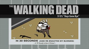 The Walking Dead in 30 Seconds, Re-enacted by Bunnies
