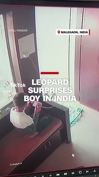 Leopard Encounter at Wedding Hall in Malegaon, India