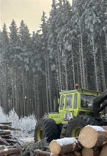 Holzrücken im Winter: Extrembedingungen spielend meistern