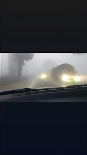 enjoying in fog #shorts #shortsfeed #viral