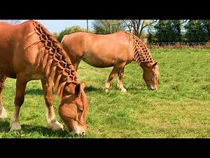 Suffolk Horses | The Original John Deere