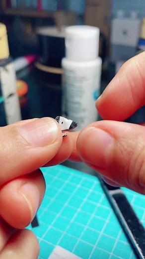 Ana Sofìa Casaverde on TikTok