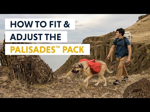 How to Fit & Adjust the Ruffwear Palisades™ Dog Backpack