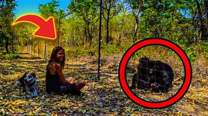 Woman Crosses Paths With A Beagle While Travelling To Africa, Embarks Upon An Unexpected Journey