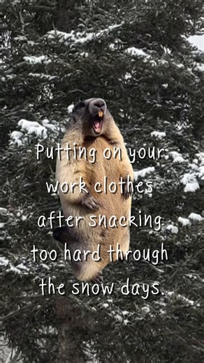 I need an accountability partner to recover from this. 😳 | Accountability Partner