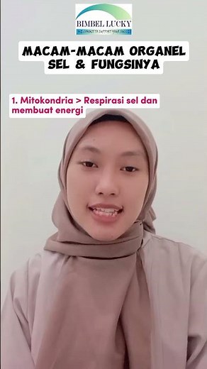 Bagian-Bagian Sel dan Fungsinya Biologi Kelas 11