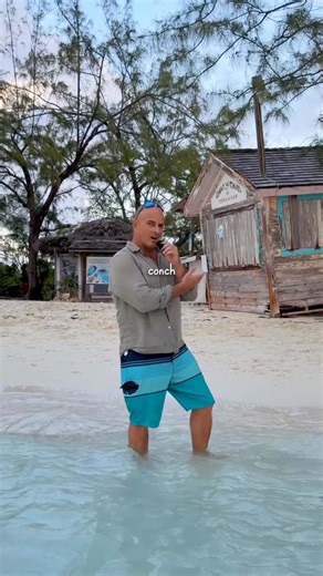 The Good Life Bahamas | Vacation Rentals | Real Estate on Instagram: "🏝️ Follow for more Bahamas content! You can only get to Chat ‘N’ Chill by boat, which makes it feel like a hidden spot even though it’s one of the most iconic stops in the entire Bahamas. People visit for the food, the beach, and the atmosphere, but they stay for the experience. There’s usually reggae or island music playing. The drinks come in cold, strong, and fast. And just off the dock, stingrays circle through the shallo