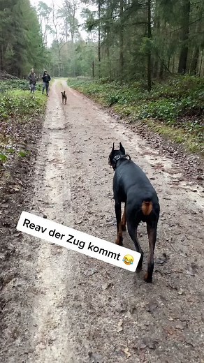 Lokopilami on TikTok