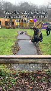 Visited my old team today! Got some cute videos of birds doing things! Here’s Laila the #milkyeagleowl being terrifyingly speedy 😂#shapingbehaviour #birdtraining #birdtrainer #owl | Shaping Behaviour