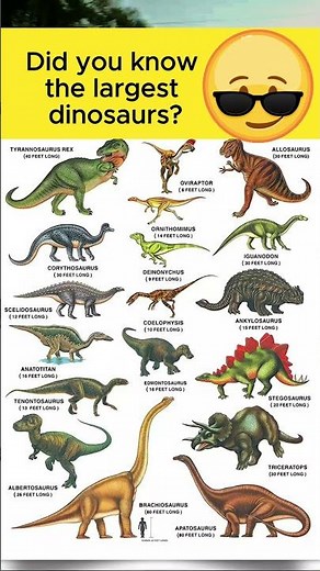 Did you know the largest dinosaurs