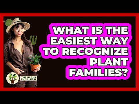 What Is The Easiest Way To Recognize Plant Families? - The Plant Enthusiast