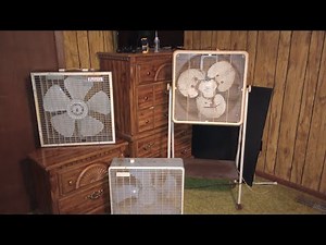 My Vintage Fan Collection (Read description!!!!)