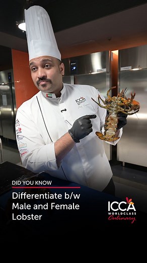 137K views · 656 reactions | 咽 Did You Know? Male vs. Female Lobster...