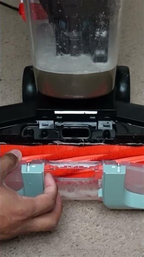 This Carpet Cleaner is Perfect for Pet Messes and Everyday Life | Shark CarpetXpert