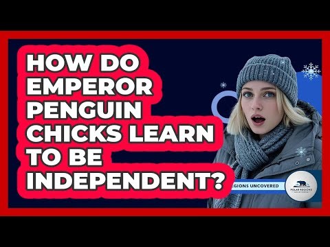 How Do Emperor Penguin Chicks Learn To Be Independent?
