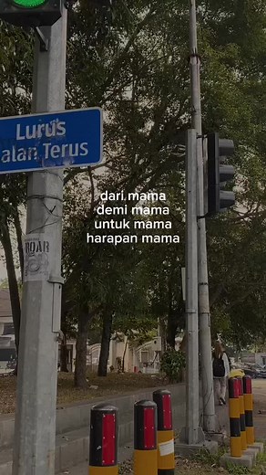 Understanding Traffic Signals and Pedestrian Safety