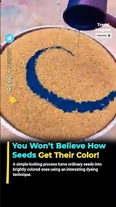 HOW ARE SEEDS DYED?! 😳