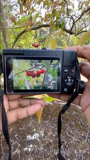 Best Camera setup for CANON M200 mirrorless 4k PSWORLD #canon #photography #camera