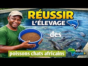 Starting Catfish Breeding: Everything You Need to Know