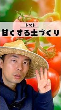トマトを甘く育てる土づくり！