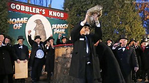 60K views · 710 reactions | Happy Groundhog Day! Do you believe...