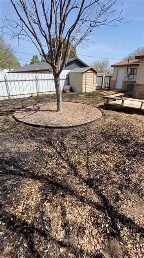 Burnt the dead grass, wait for fast results! #viral #aliencitylandscaping #lawncare