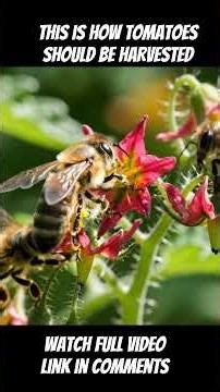 You won’t believe how fast this goes