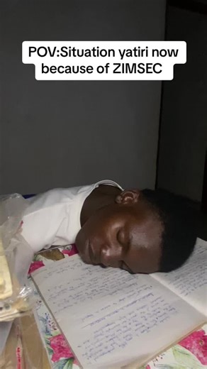 Understanding ZIMSEC's Current Situation and Challenges