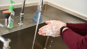 Proper Handwashing and Hand Sanitizer Use | Homegrown| NC State University