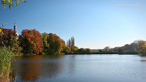 99K views · 96 reactions | El Brabante Flamenco es una provincia de...