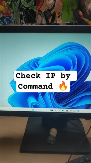 Check IP by Command 🔥| Day-0525 | Windows Tips #techreels #reel #short #windows11tips #windows11