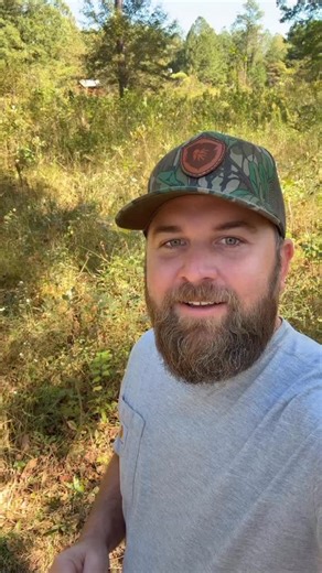 When it comes to turkeys habitat might be the most important topic and @official_nwtf is leading the way with funding for research and educating the public on how to best manage my favorite North American bird!! #nwtfpartner #wildturkeys #nativeplants #habitat | Native Habitat Project