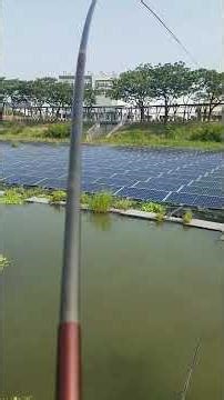 20260501，美山滯洪池，12尾6x公分垃圾魚，棘岬鯰，手竿釣鈍，拉力咻咻叫，熱爆，2-2