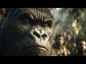 El Día Que Un Gorila Salvaje Reconoció a un Humano Entre la Multitud