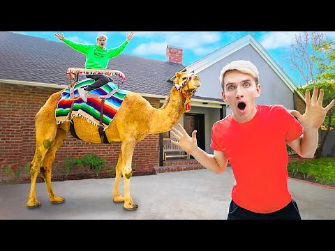 GIANT ZOO ANIMALS FOUND in SHARER FAM HOUSE!! (WHO DELIVERED a CAMEL?!)