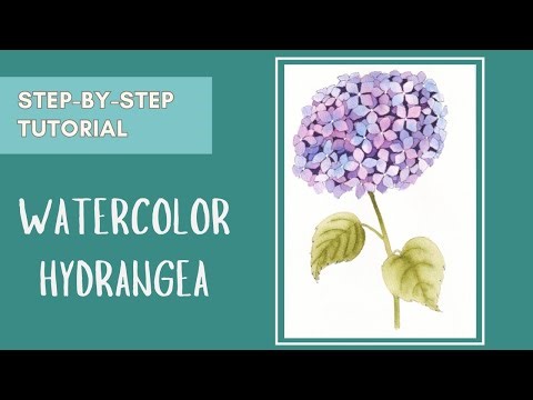 Hydrangea – Step-by-step watercolor tutorial for beginners