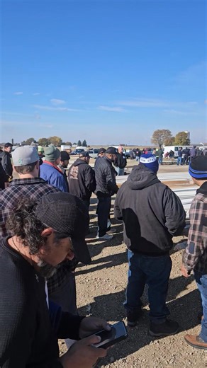 Gavin Construction Auction | Mark Wallace