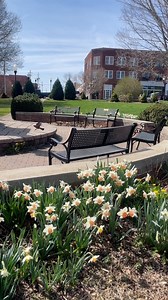 1K views · 818 reactions | Whether you’re here for a weekend or here...