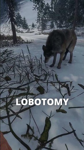 I gave her a REDNECK LOBOTOMY 🐺🔫 | theHunter: Call of the Wild #shorts