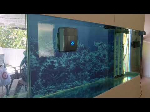 RoboSnail automatic aquarium glass cleaner