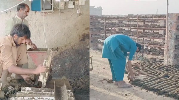 Get a Glimpse of How Cow Dung Becomes Wooden Sticks