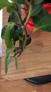 Modern Oak Floating Desk / Console Table / Entry Table - Etsy